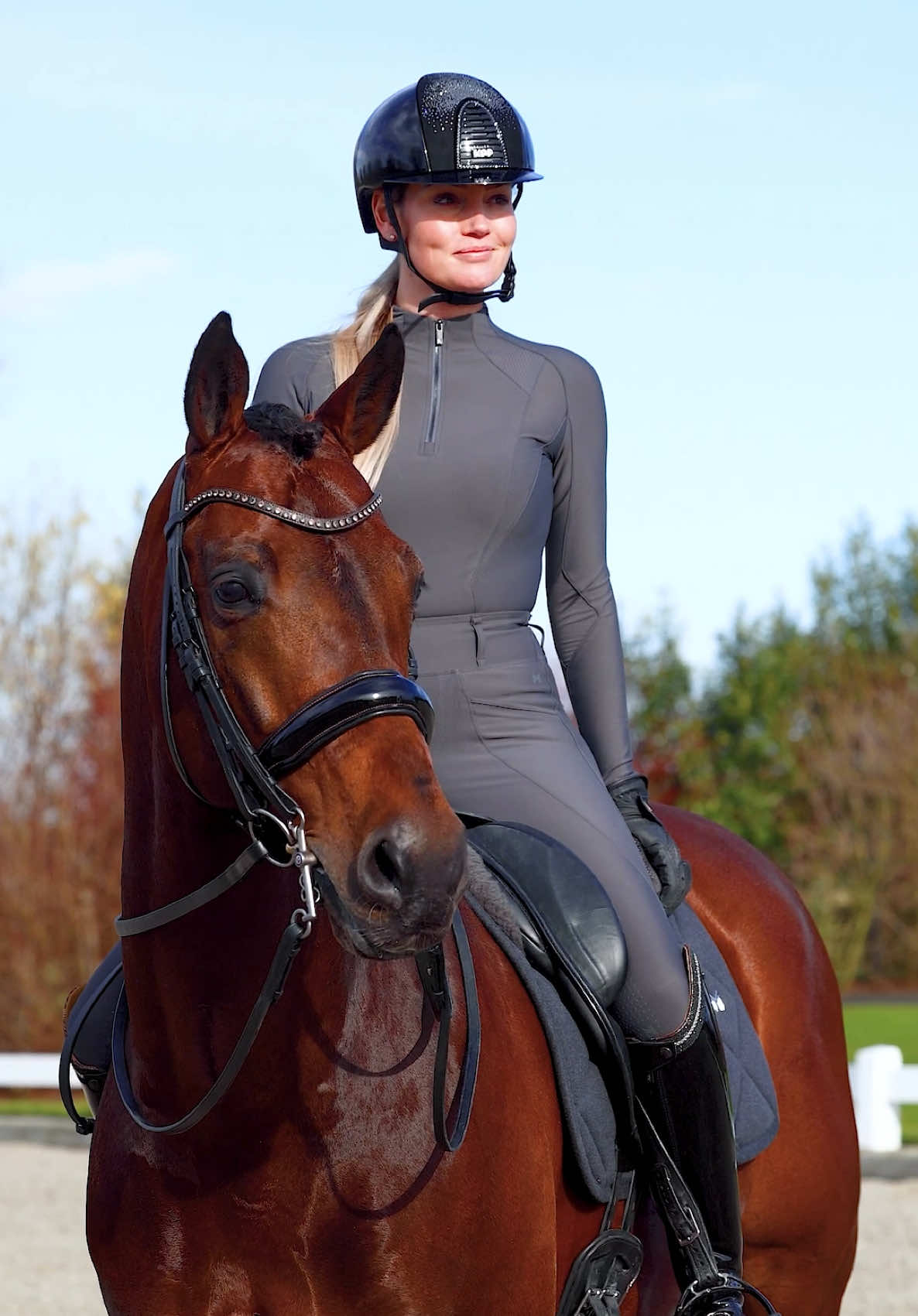 @Maximilian Equestrian