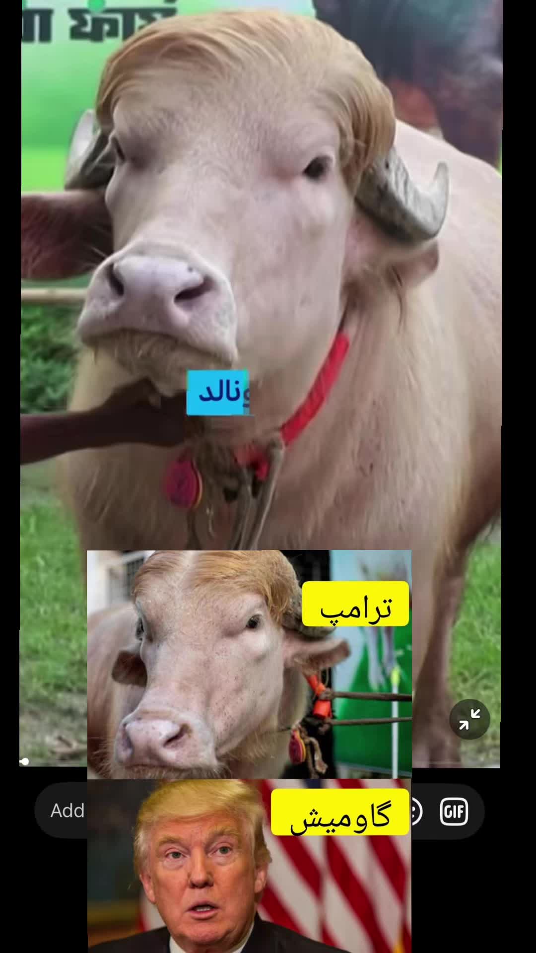 @★㋛𝓟𝓻𝓲𝓷𝓬𝓮 𝓐𝓜𝓘𝓡㋛★