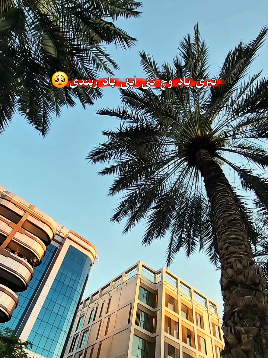 @🚩𝐒𝐚𝐧𝐮³¹³🙌⚔️