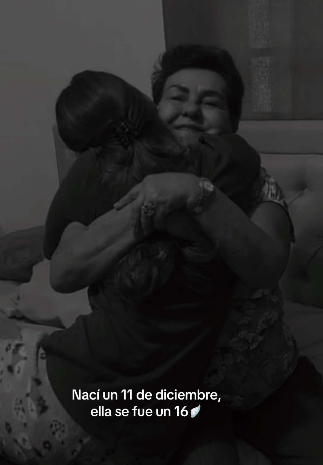 @Ivianis Moreno