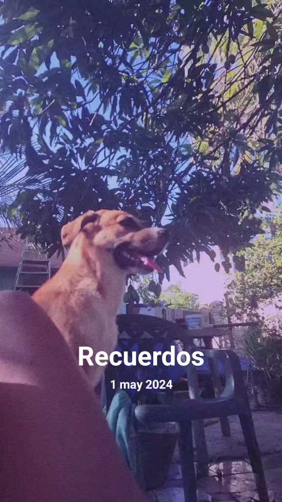 @Galimberti Santa✨
