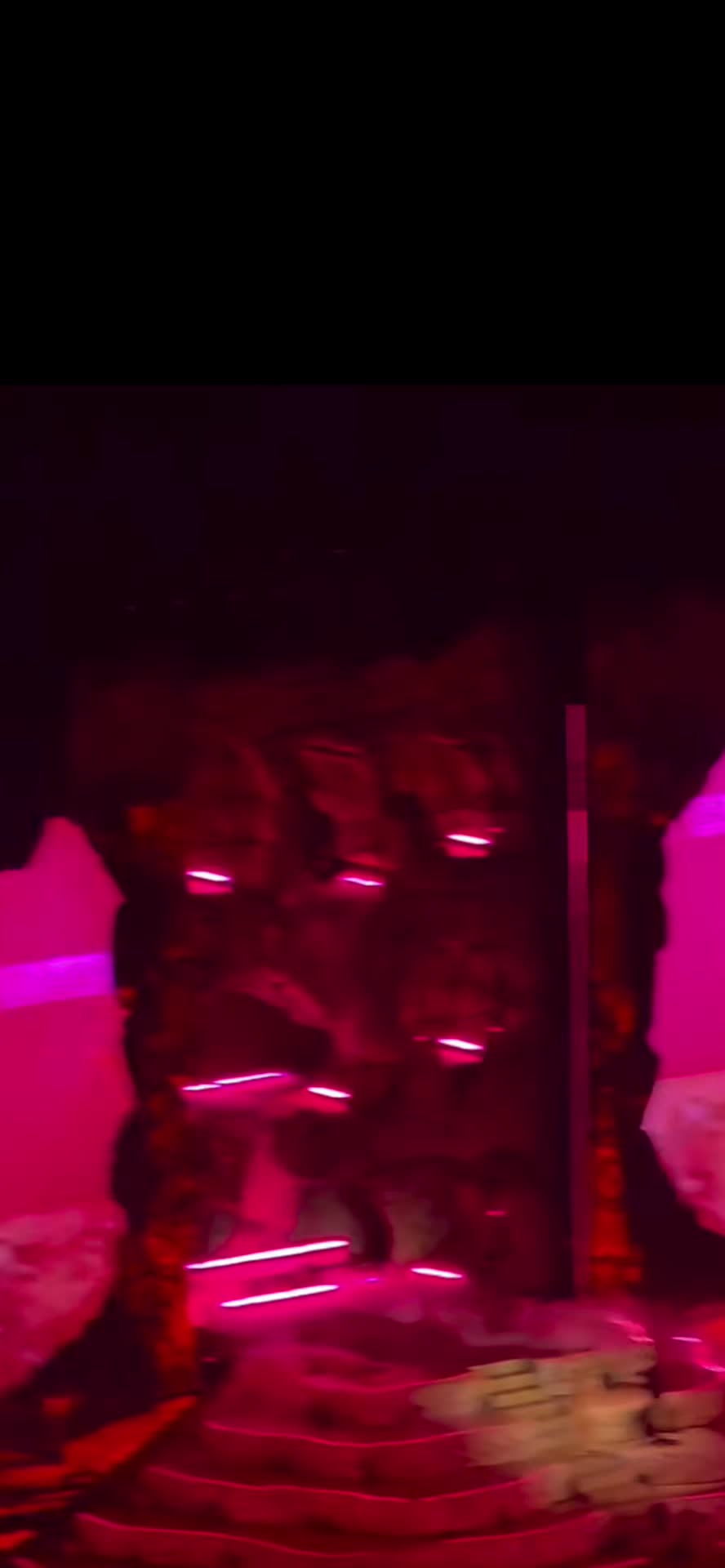 @Gleiia23