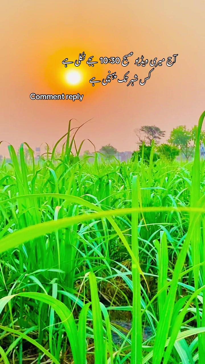 @🥀🌾 پنجابی کلچر 🥀🌾