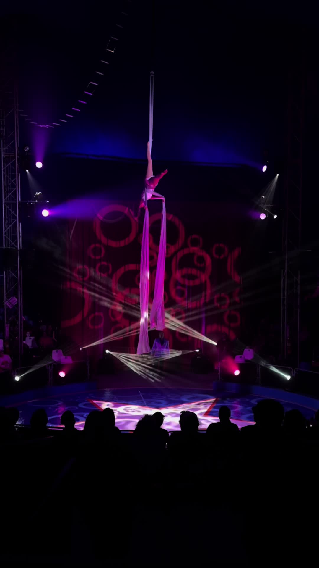 @circus.chloe