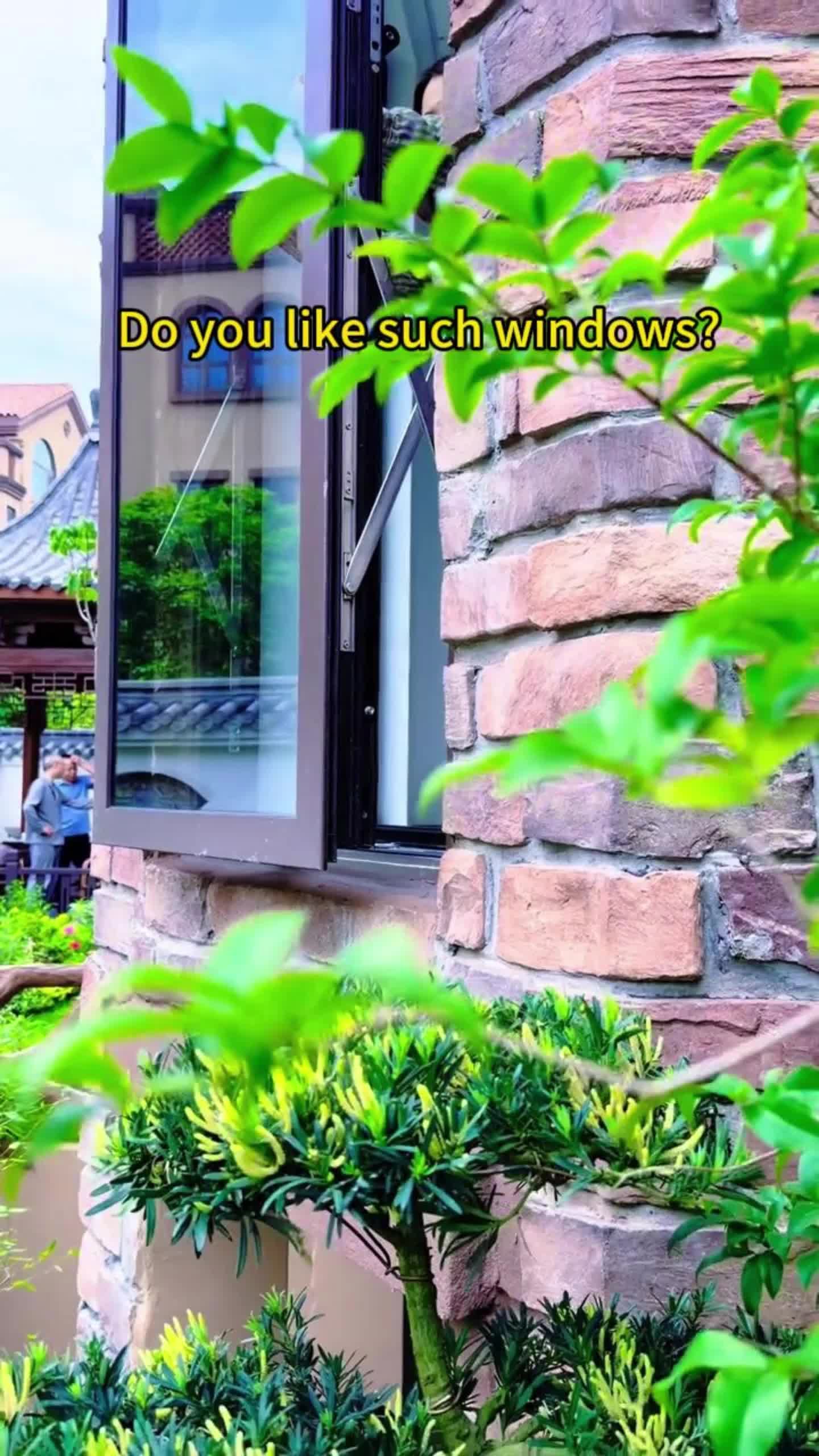 @edunwindow