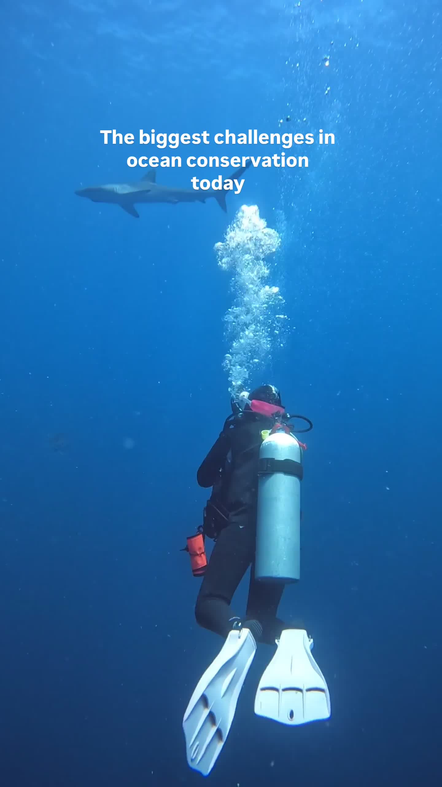 @The Dive Compass