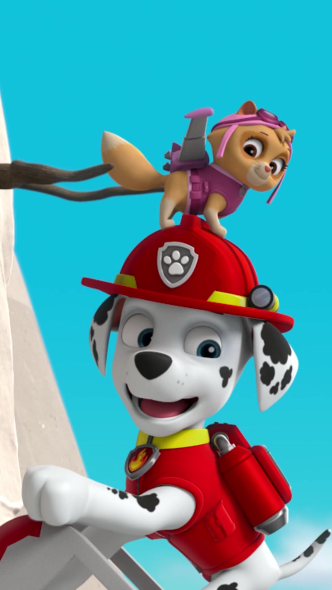 @pawpatrol