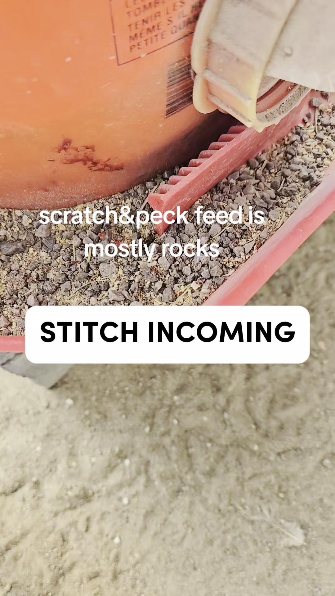 @Scratch and Peck Feeds