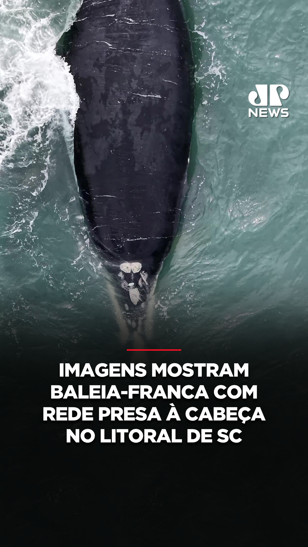 @Jovem Pan News