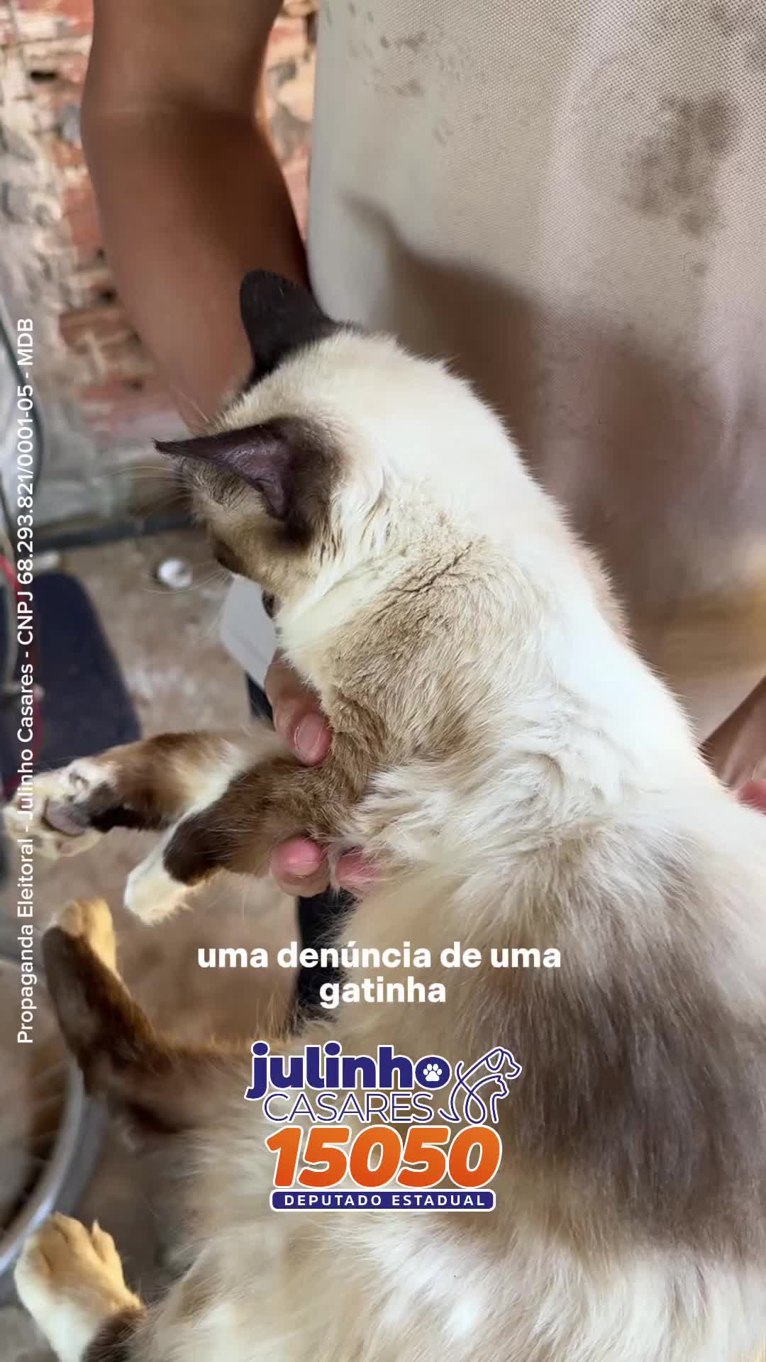 @julinhocasares