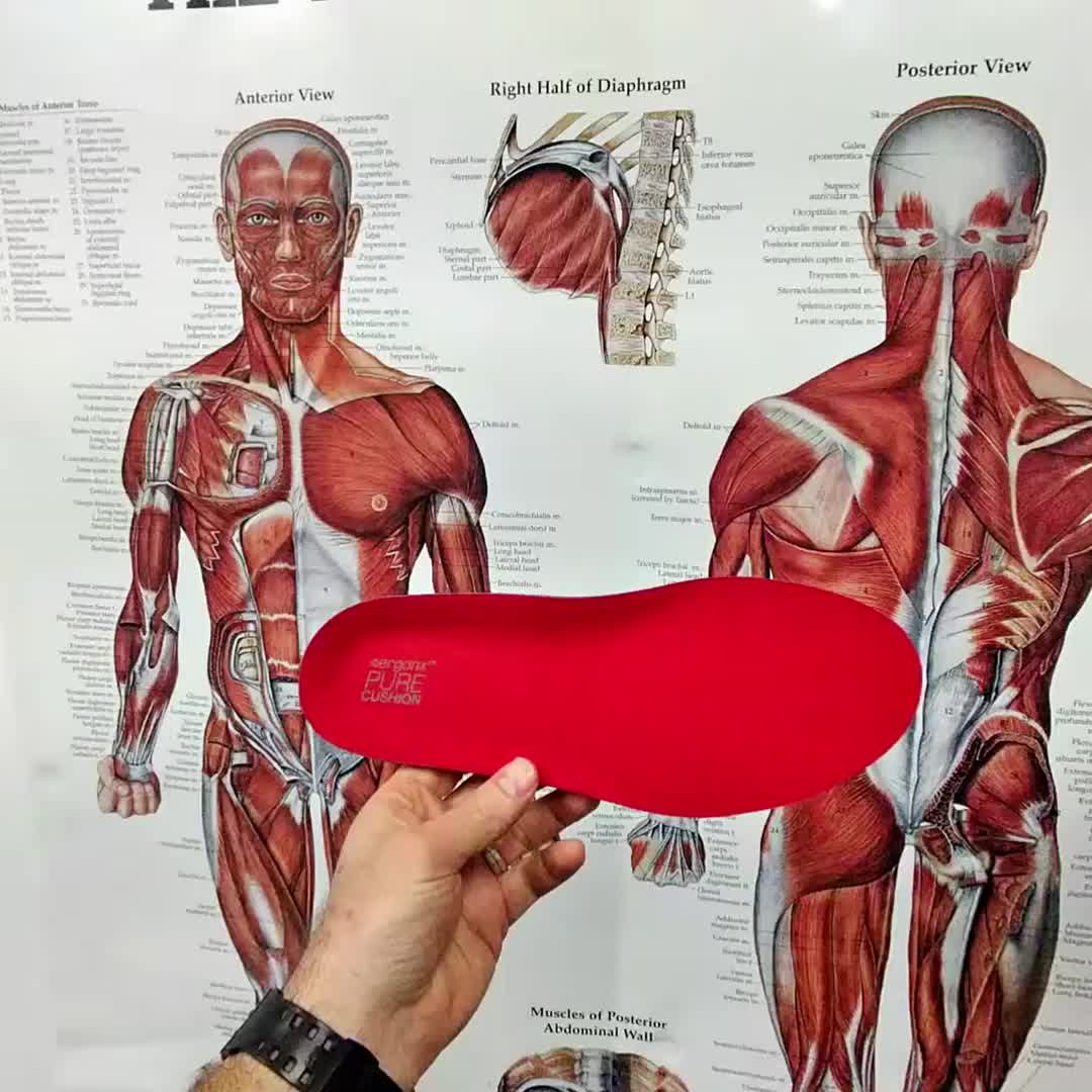 @ergonx