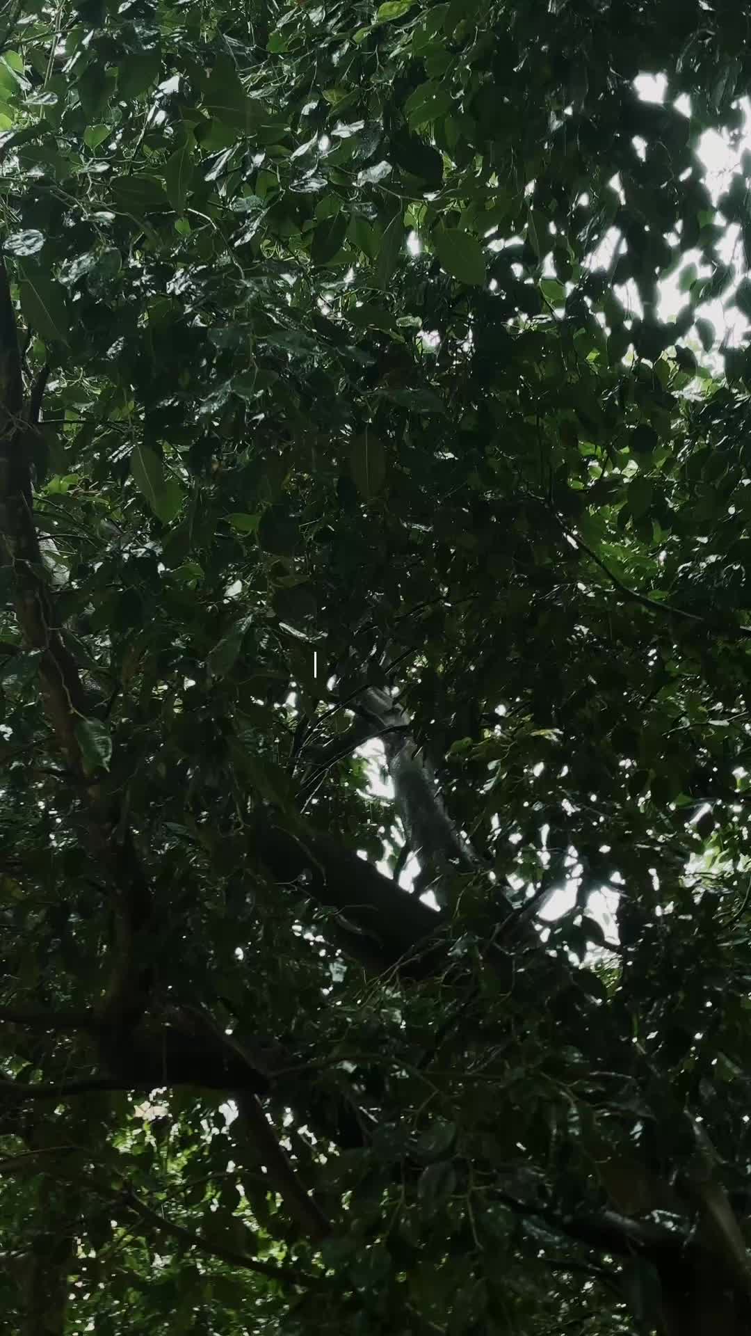 @cozytwn