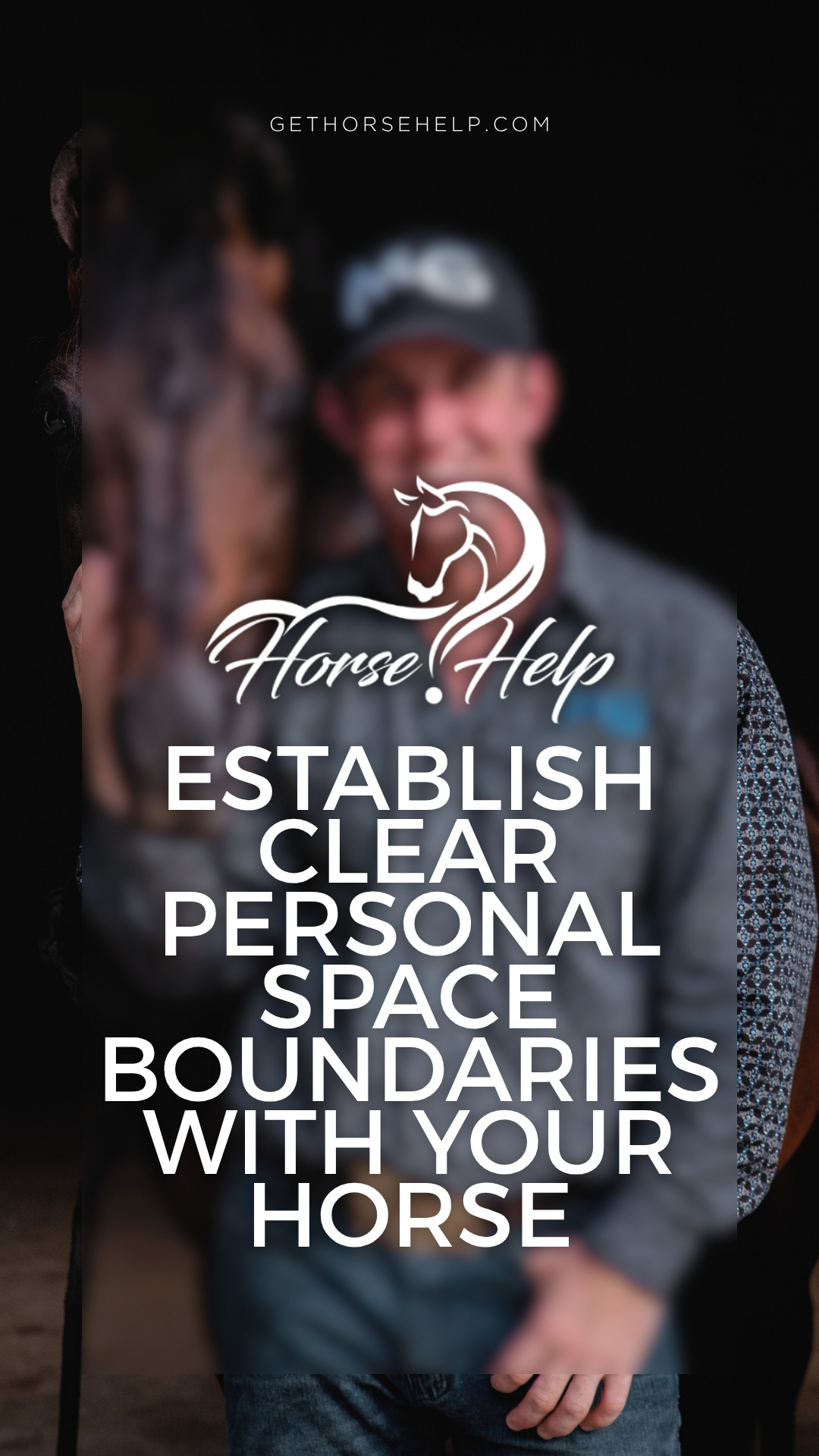 @Horse Help