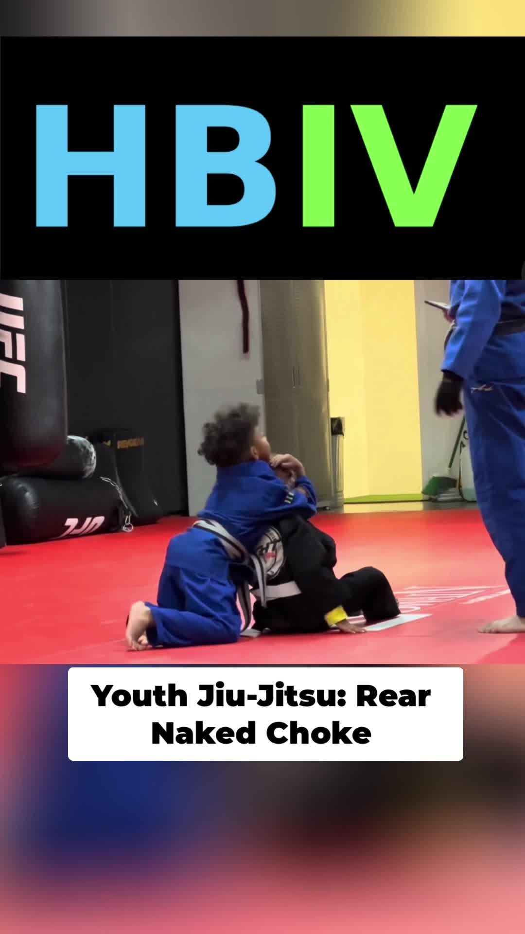 @HBIVthesamurai