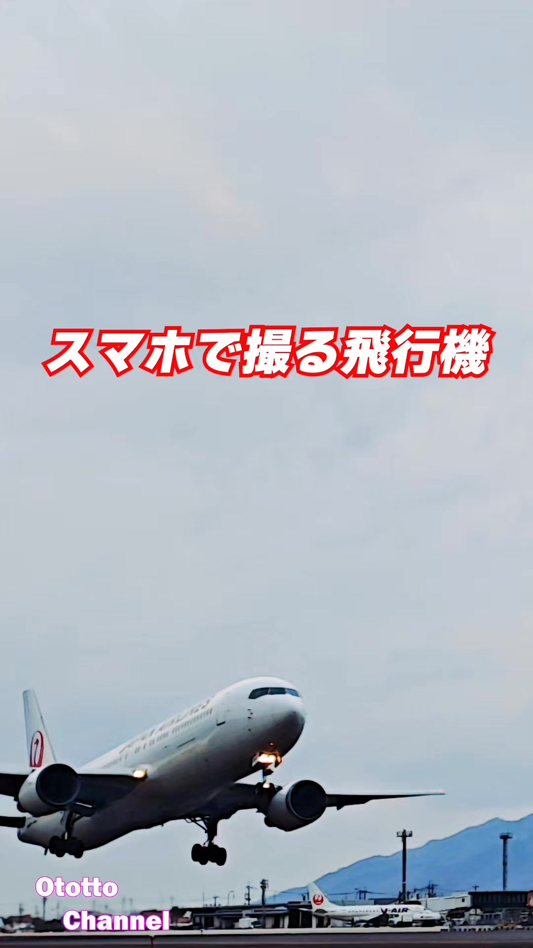 @ototto/おっとっと