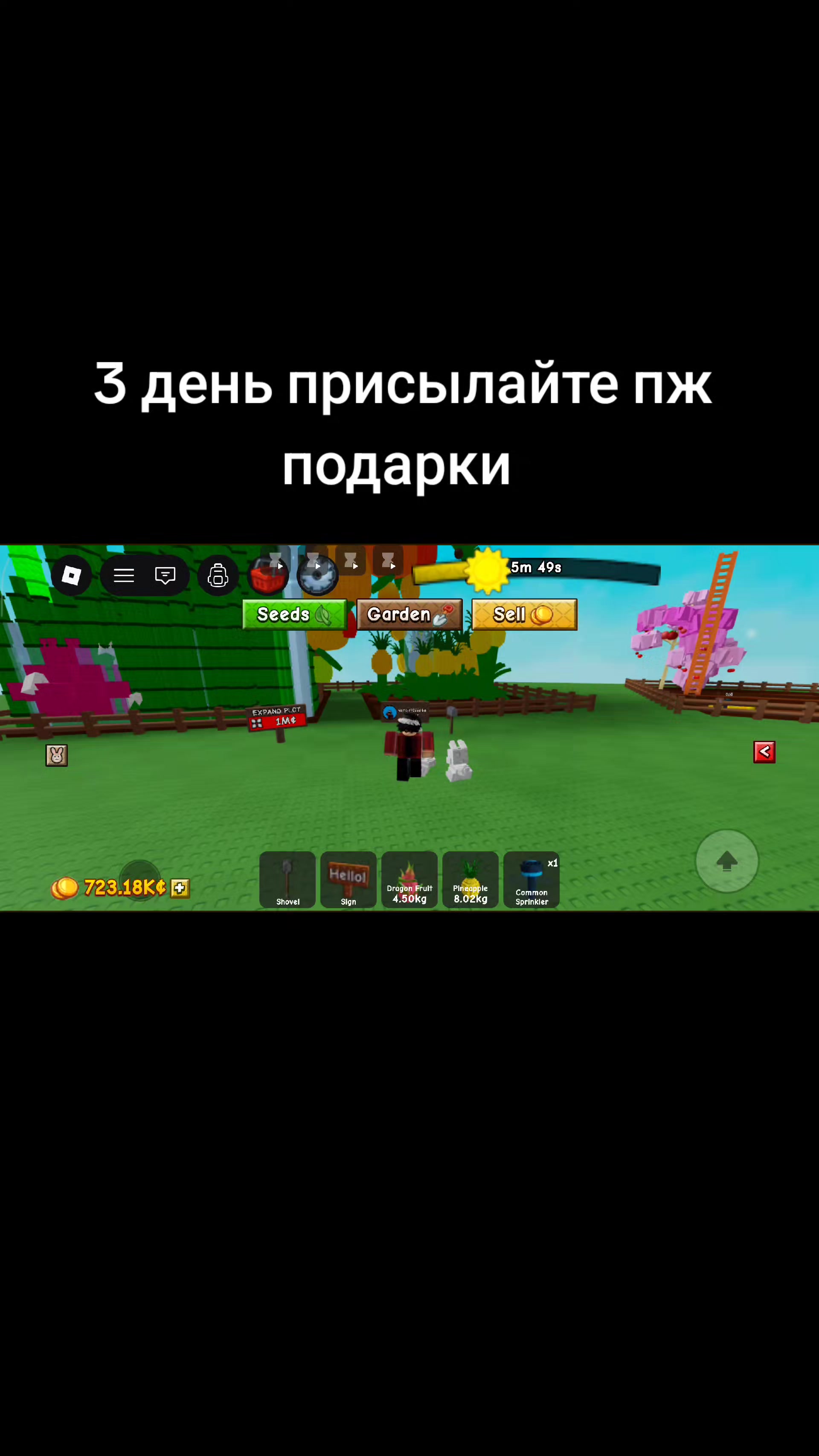 @Blox fruits accunt