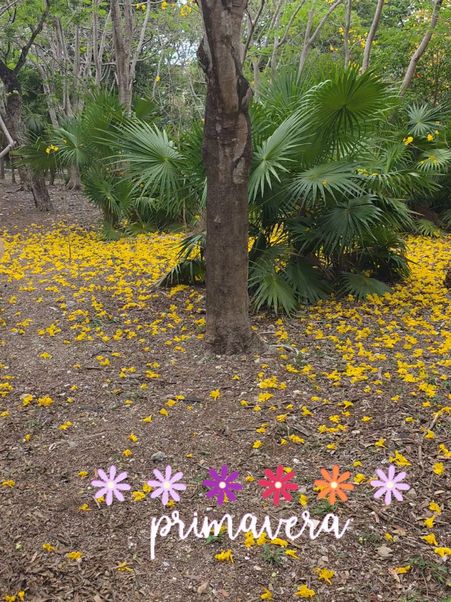 @Jose Chein - Bienes Raices
