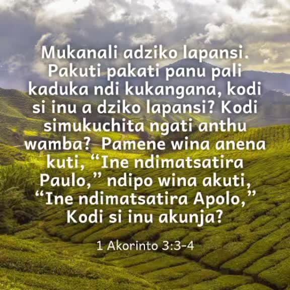 @Andy🇲🇼