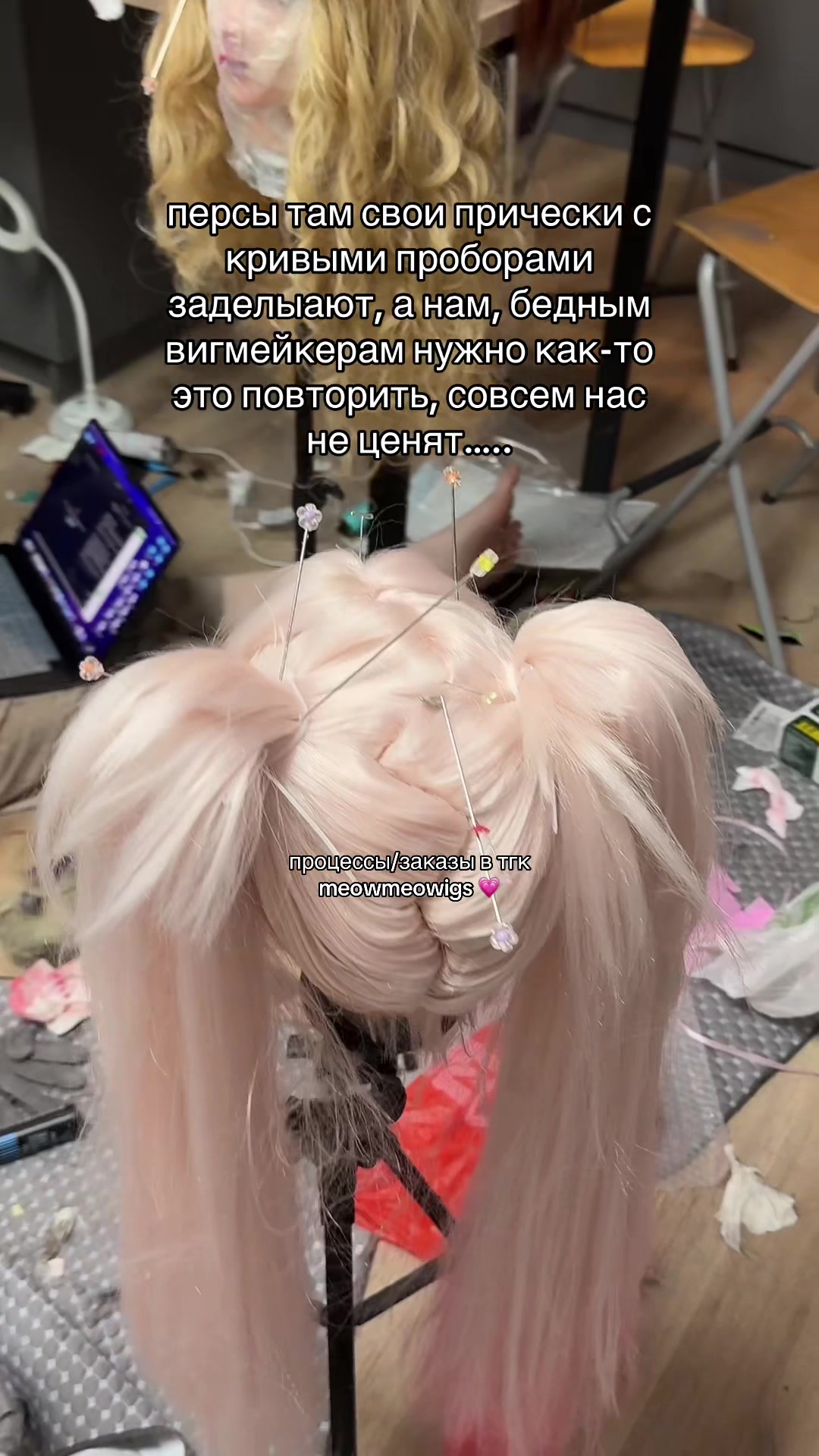 @тгк vivien & meowmulia˚✧₊