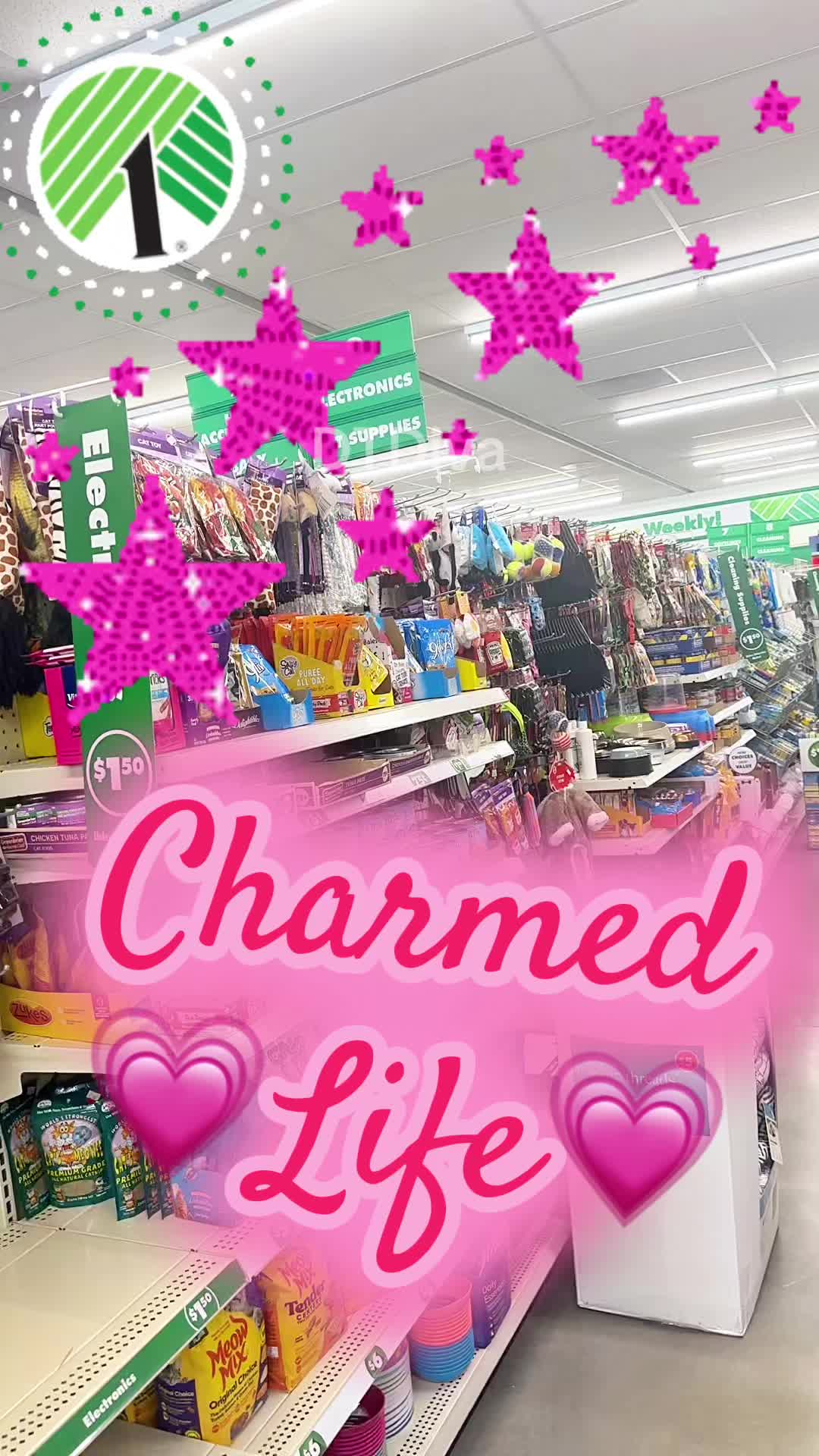 @Dollar Tree Diva