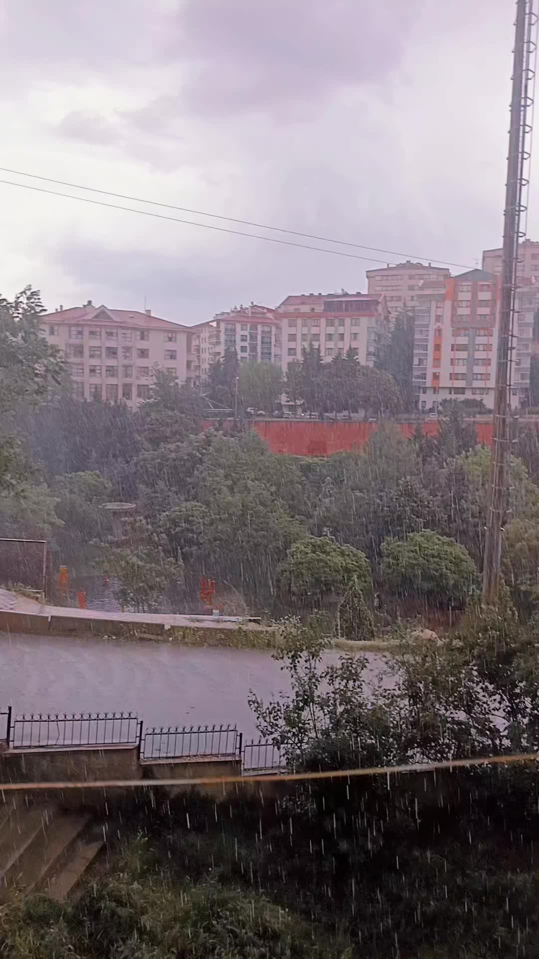 @seldoşun d&uuml;nyası