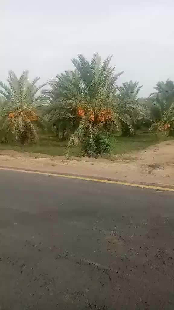 @Tanveer 0055