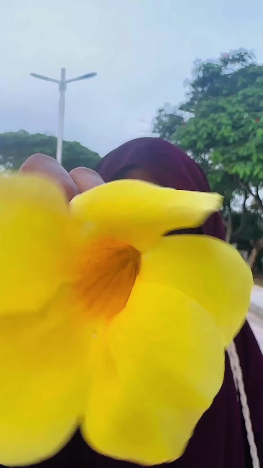 @Musfika sara