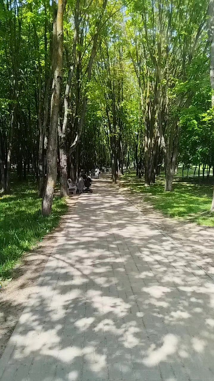 @людсила принцессовна