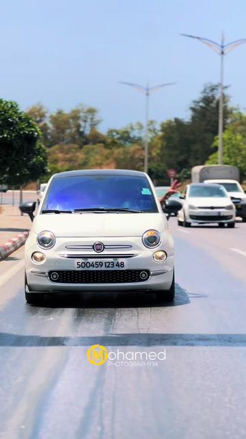 @Mohamed Photography14