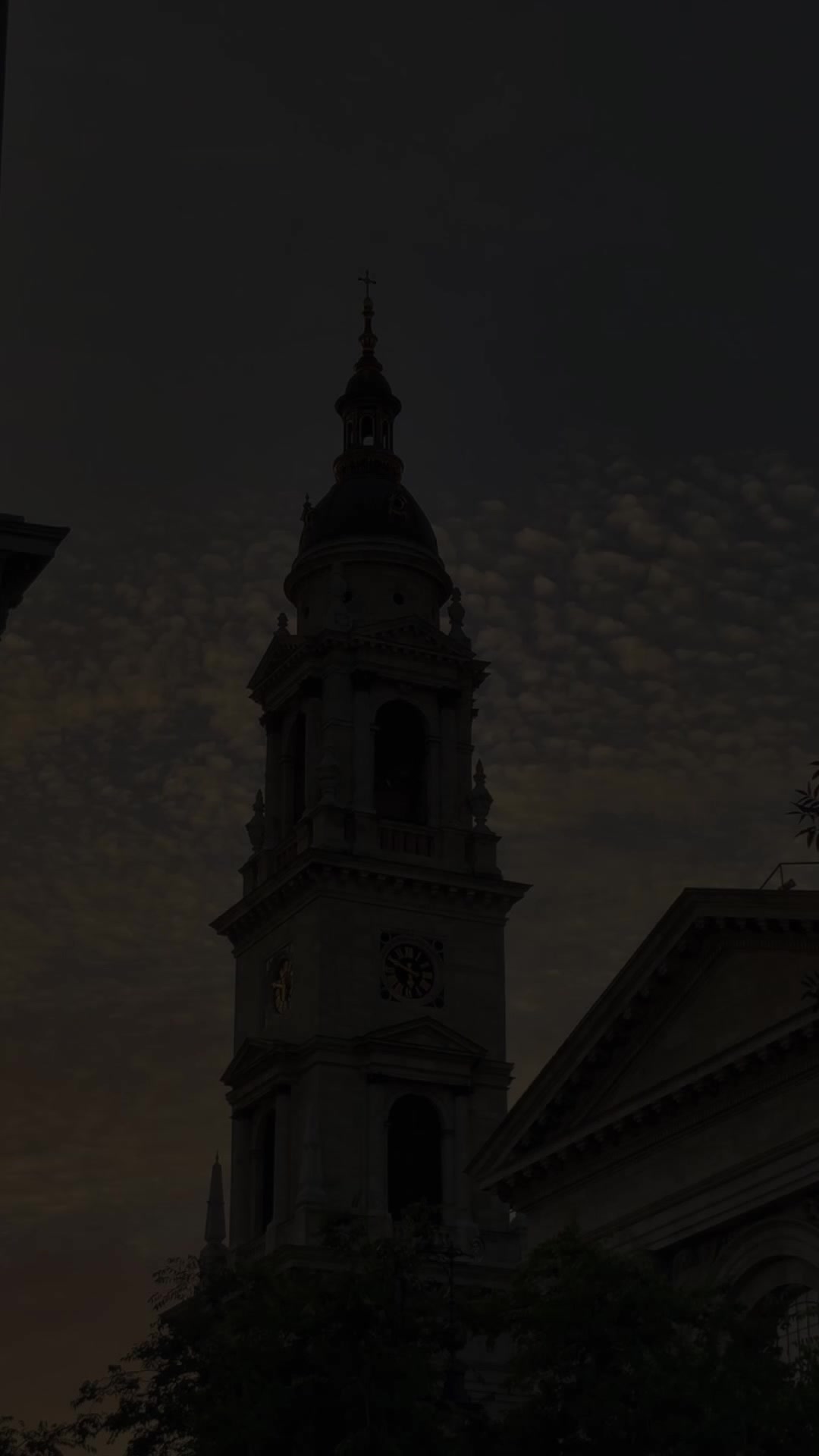 @𝗱𝗺𝗻𝗹𝘆𝗿𝗶𝗰𝘀