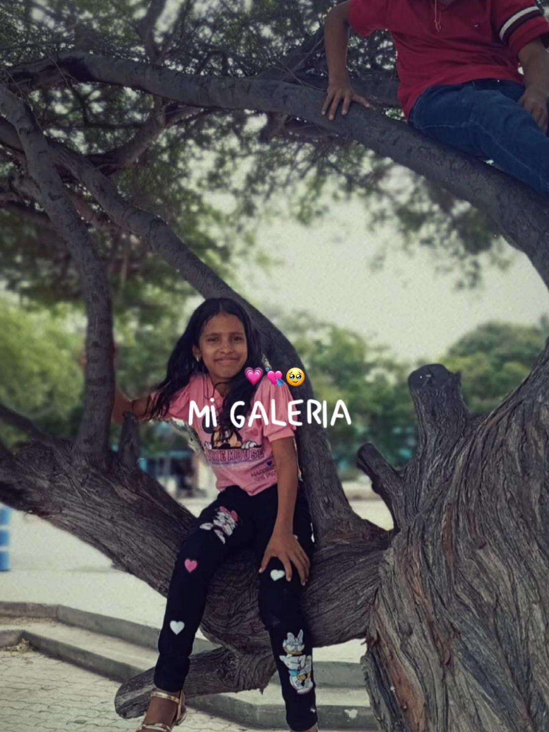 @andreacarolinadom5