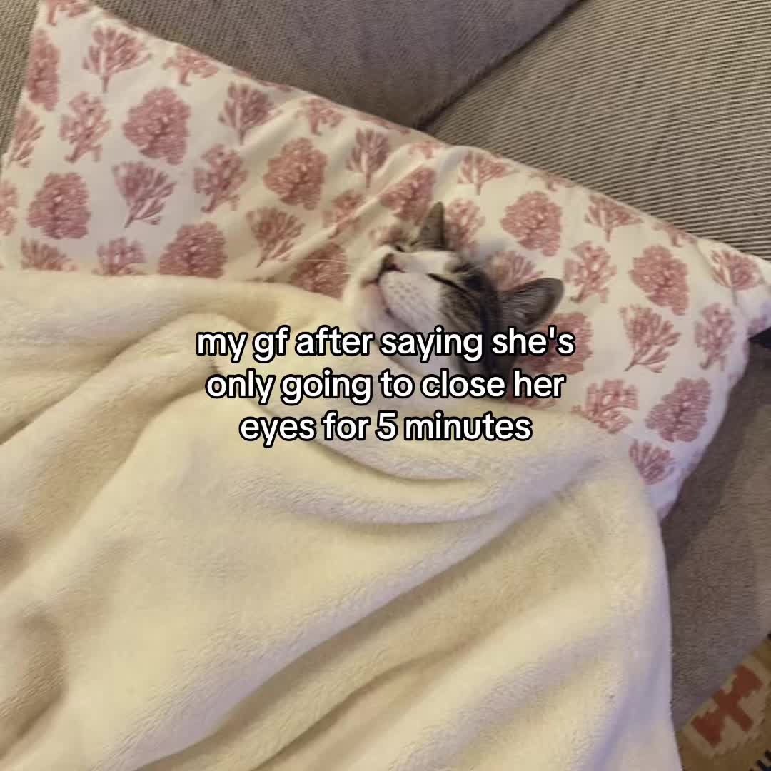 @Alice.cattok