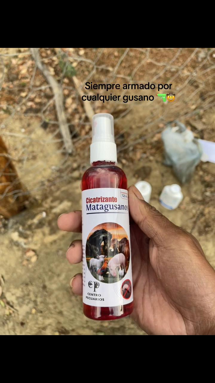 @Zuri__060 🥷