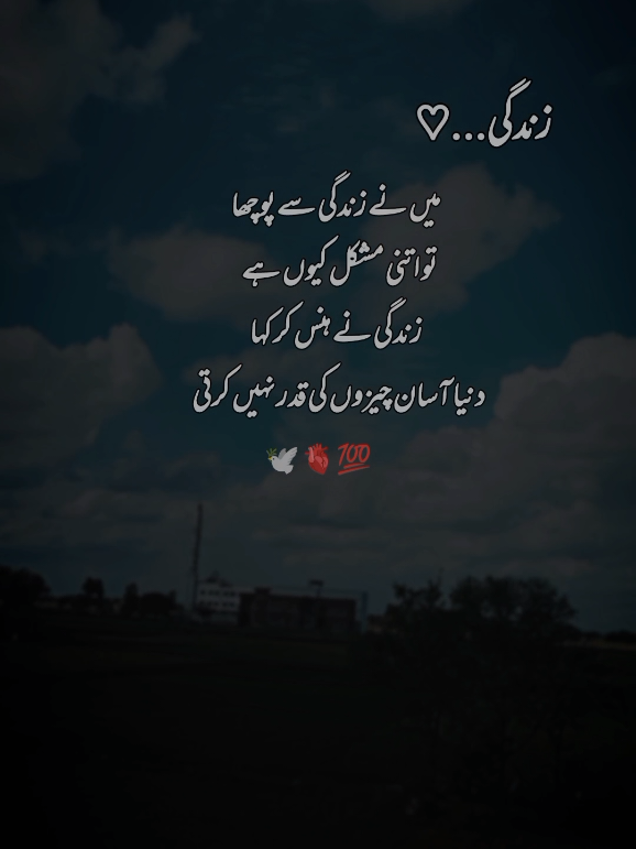 @احمد رائٹس