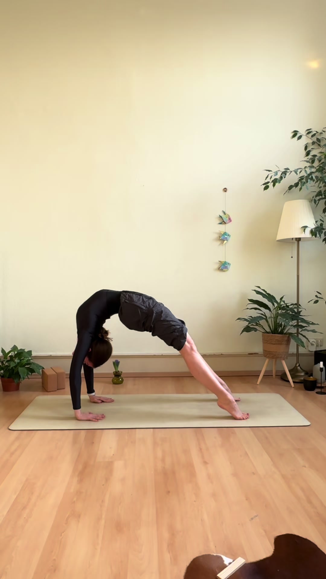 @Marla Moon Yoga 🌒