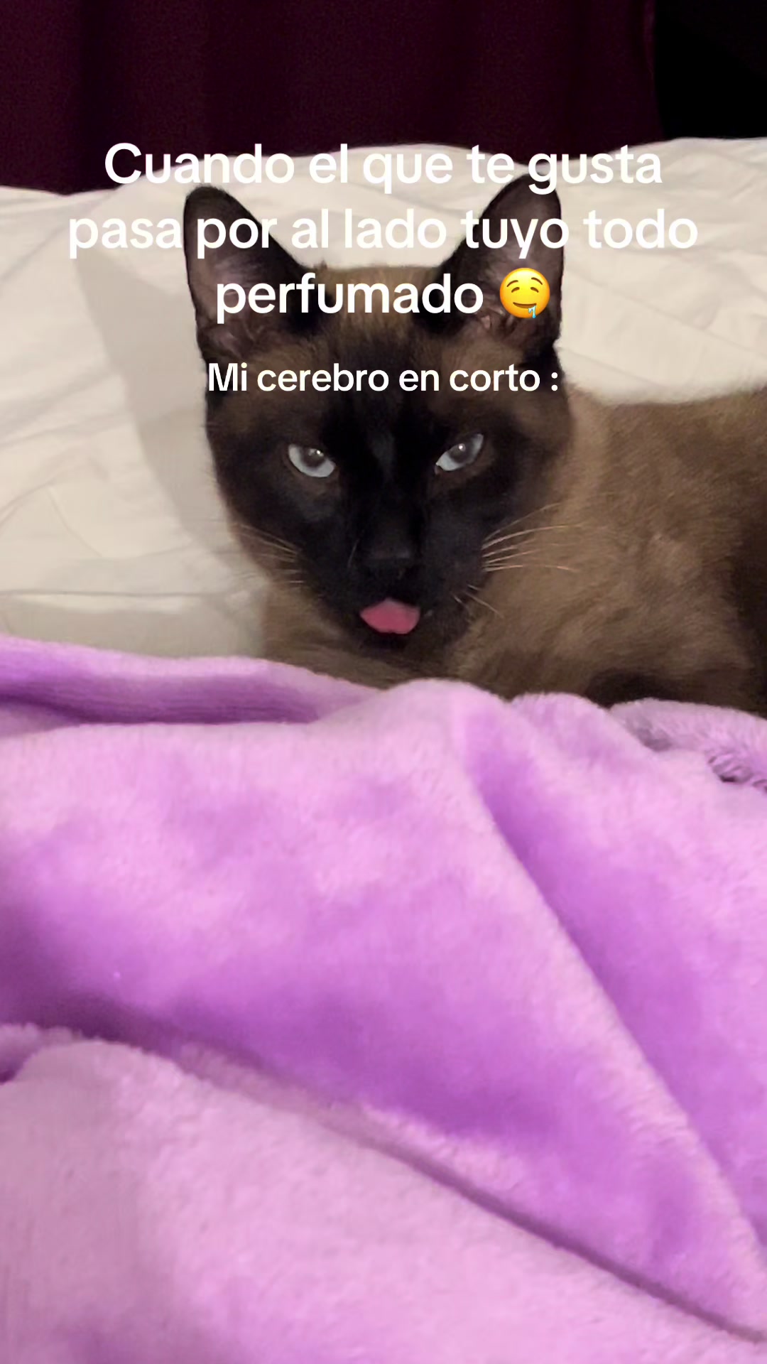 @Camila Gutierrez