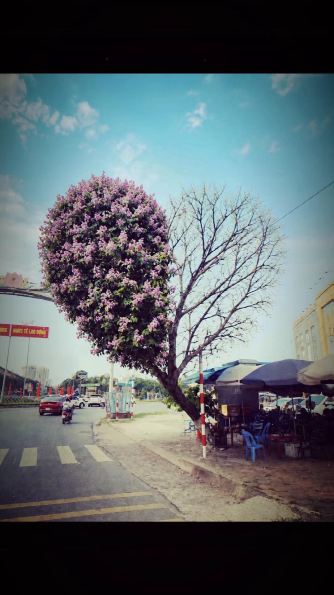 @Mai Thanh