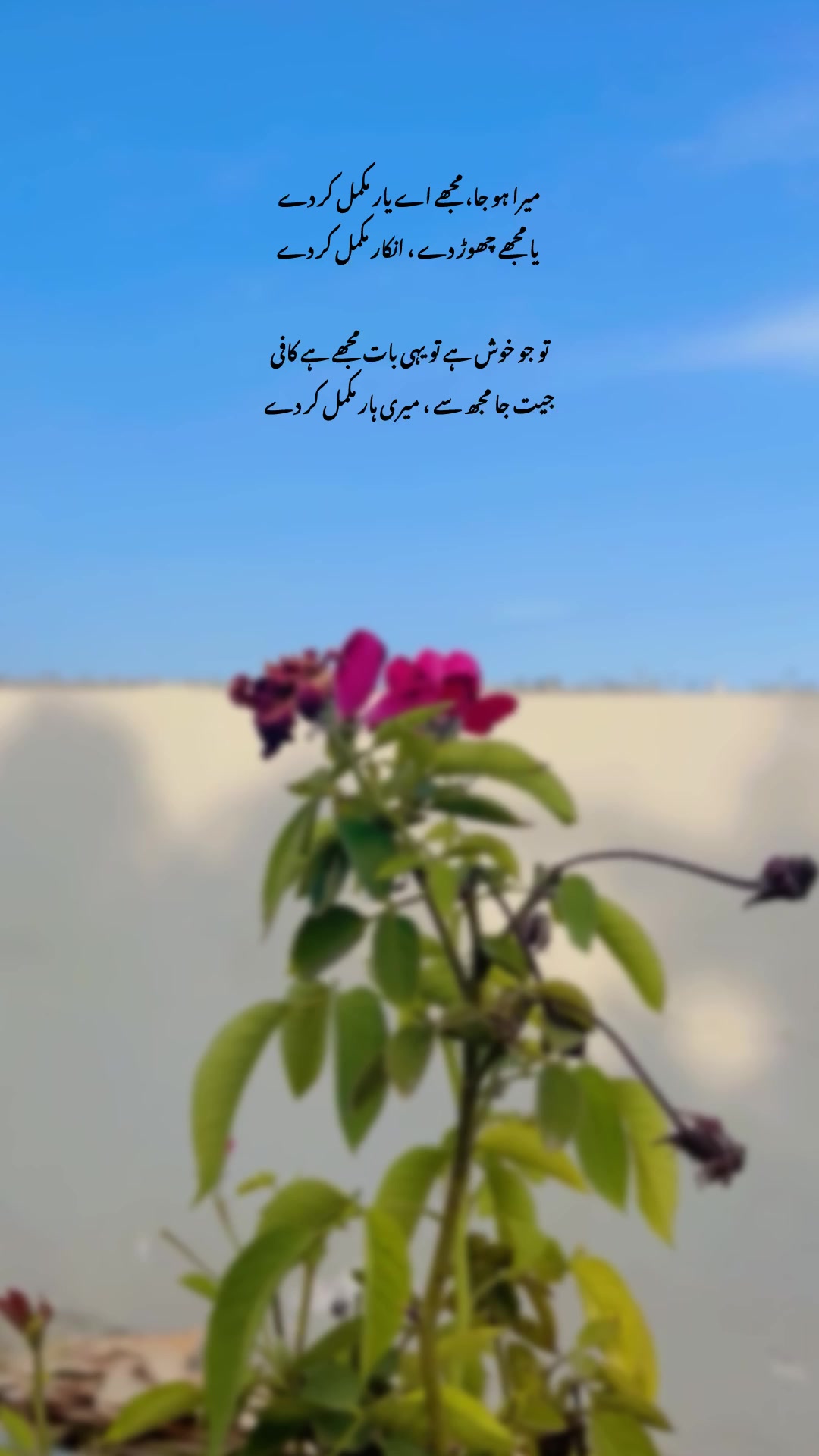 @Laiبa🥀💫