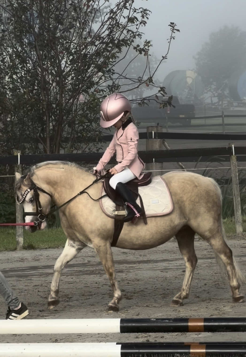 @Anais Super Pony&rsquo;s