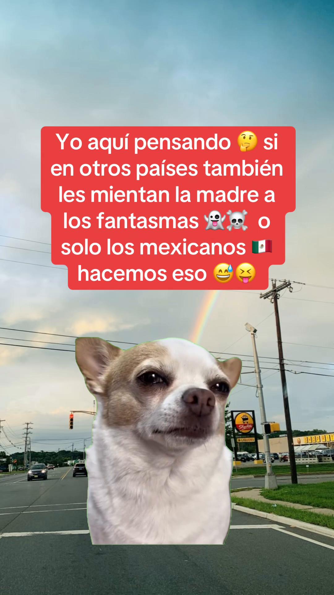 @🌸🦋SANDRA🐍🌺