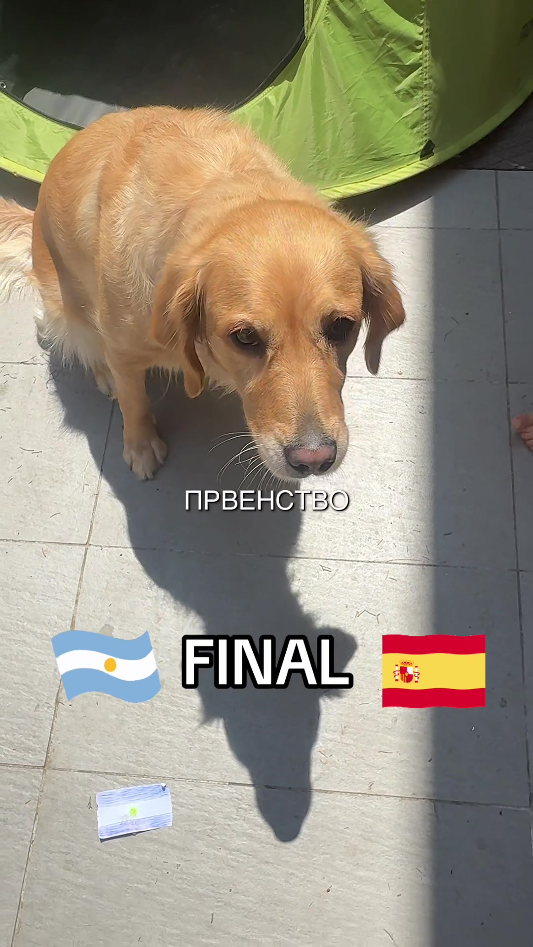 @Ema