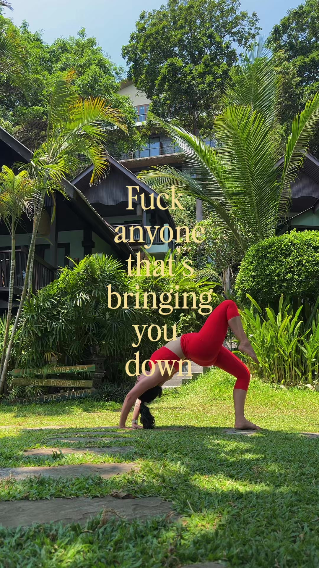 @Elvy Navarro