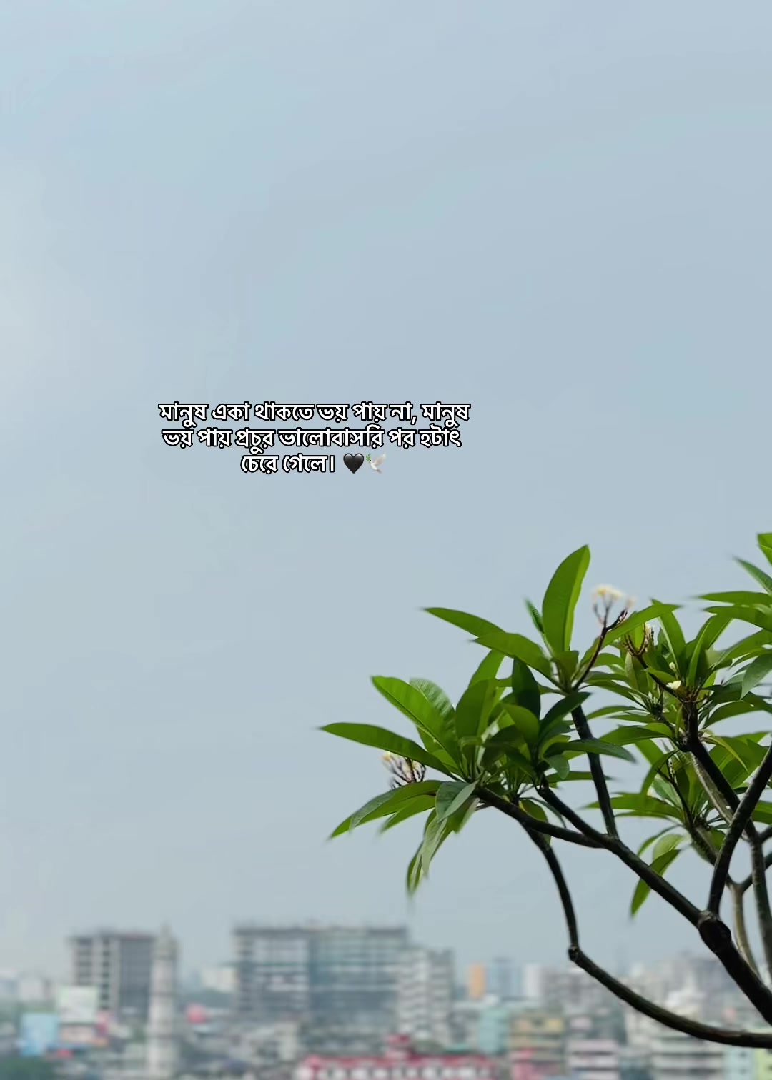 @đ đ đ đ đĨ đ¤đī¸