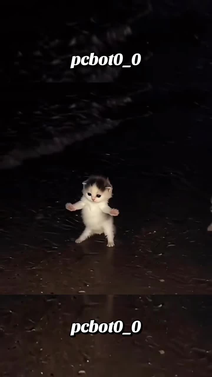 @pcbot0_0