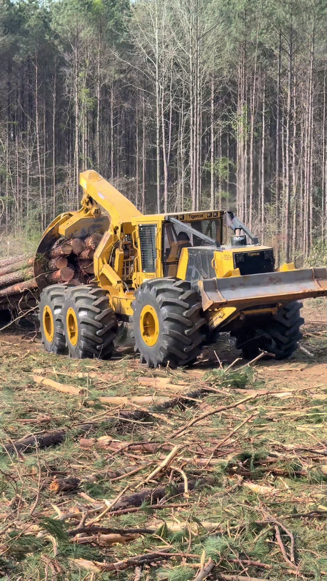 @Superior Forestry Solutions