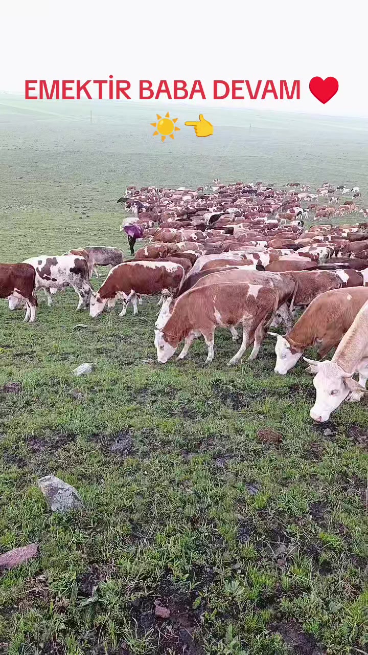 @FERHAT ÇUKU 76☀️
