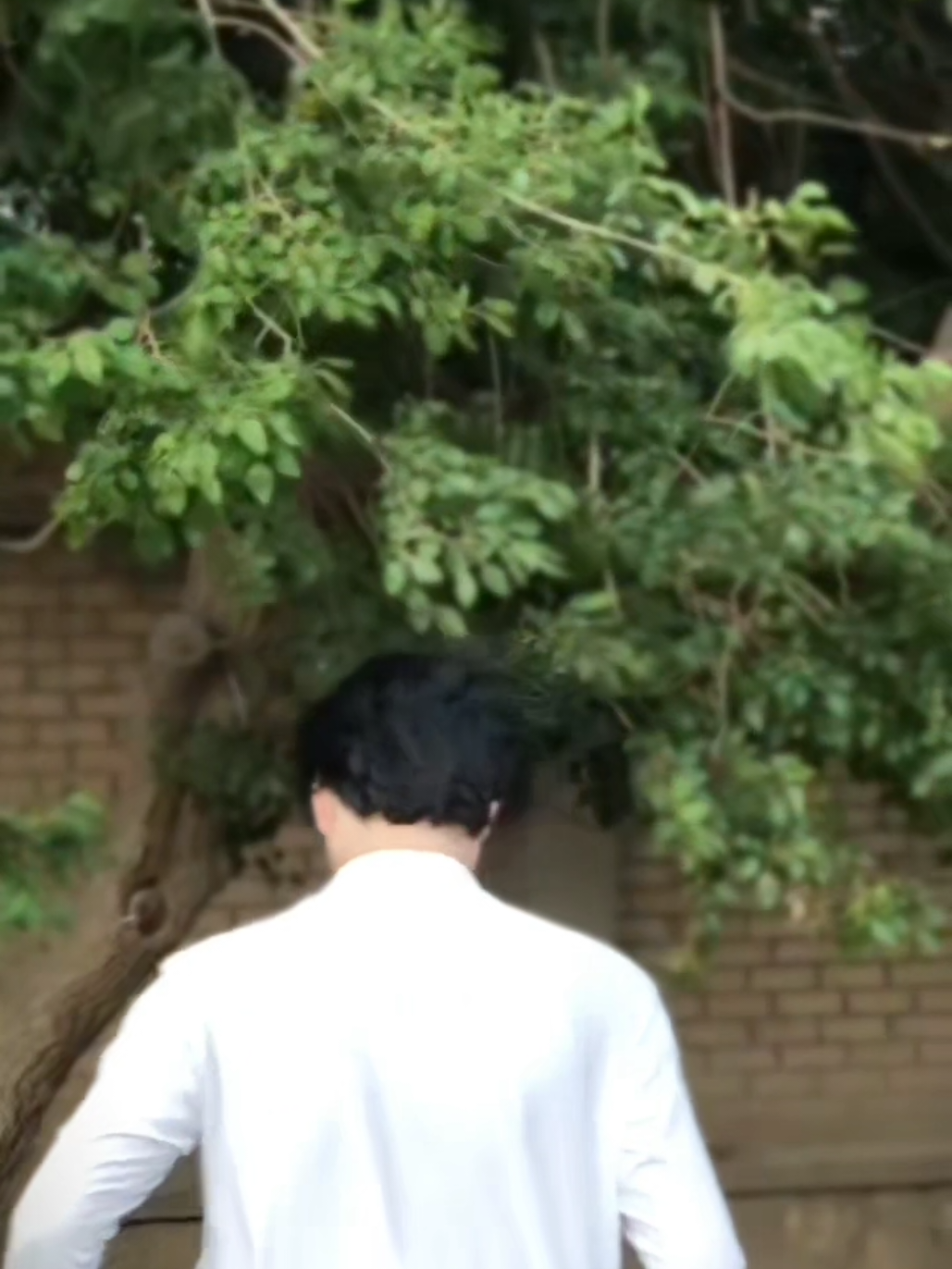 @๐๐~๐ฅ