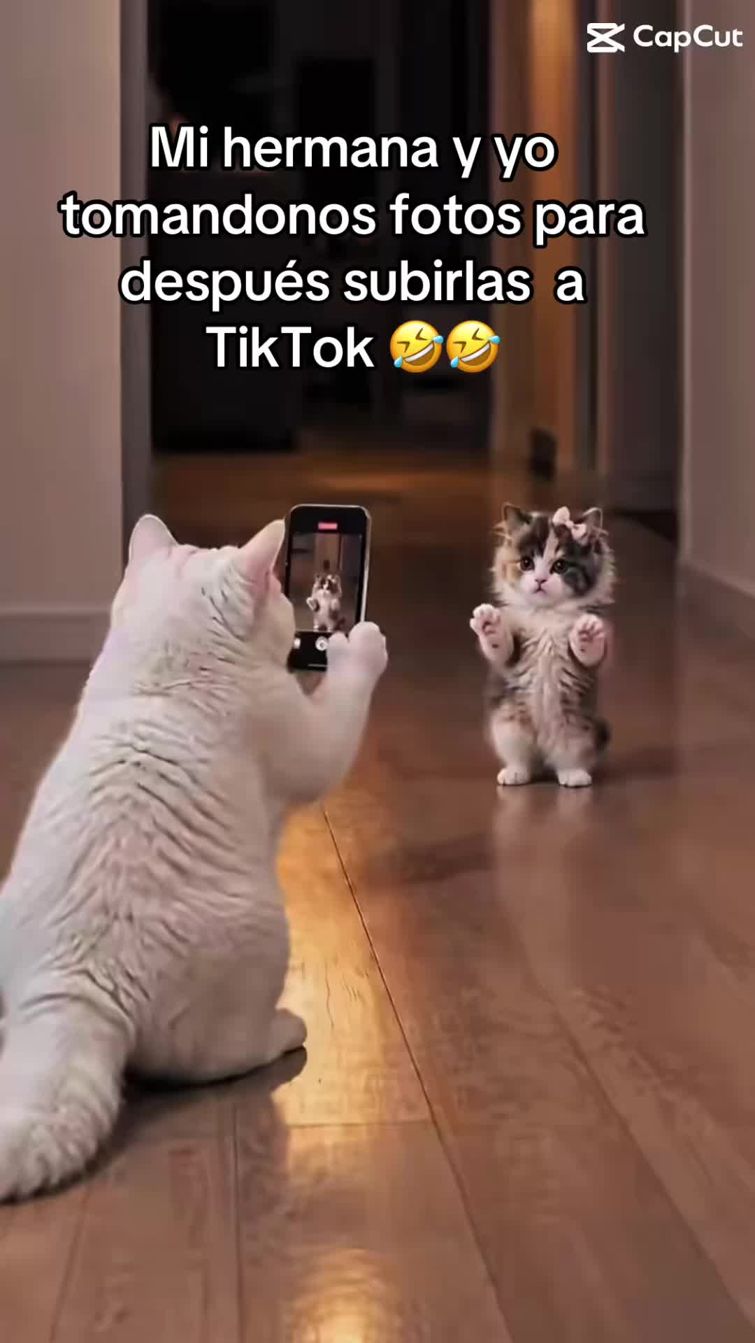 @𝓧𝓪𝓿𝓲 𝓓𝓮 𝓛𝓪 𝓡𝓲𝓿𝓪