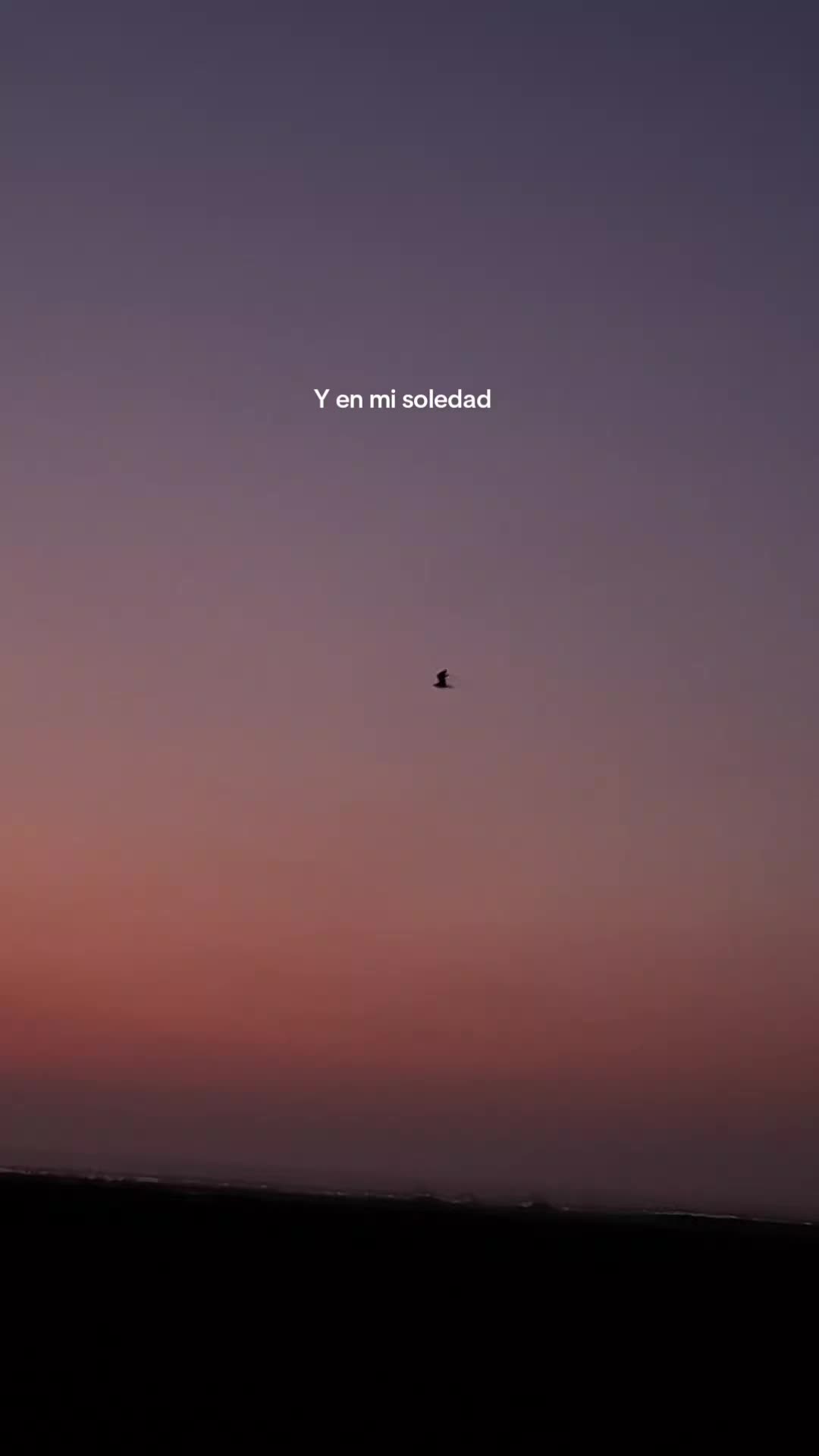 @❤️⭐️🐧