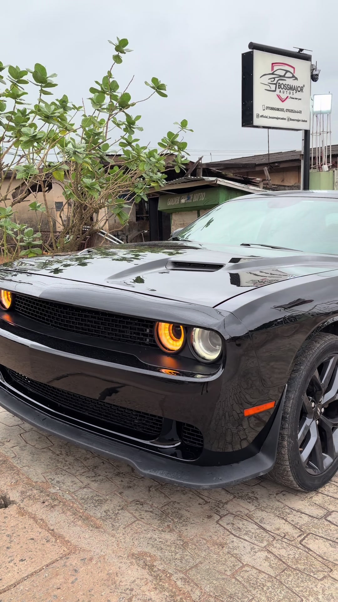 @Bossmajor autos